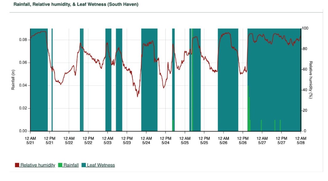 Photo 4 blueberry.jpg
